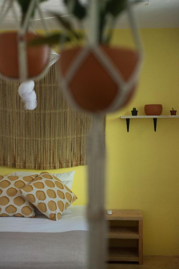 La Punta Beach House ปูแอร์โตเอสกอนดิโด ภายนอก รูปภาพ