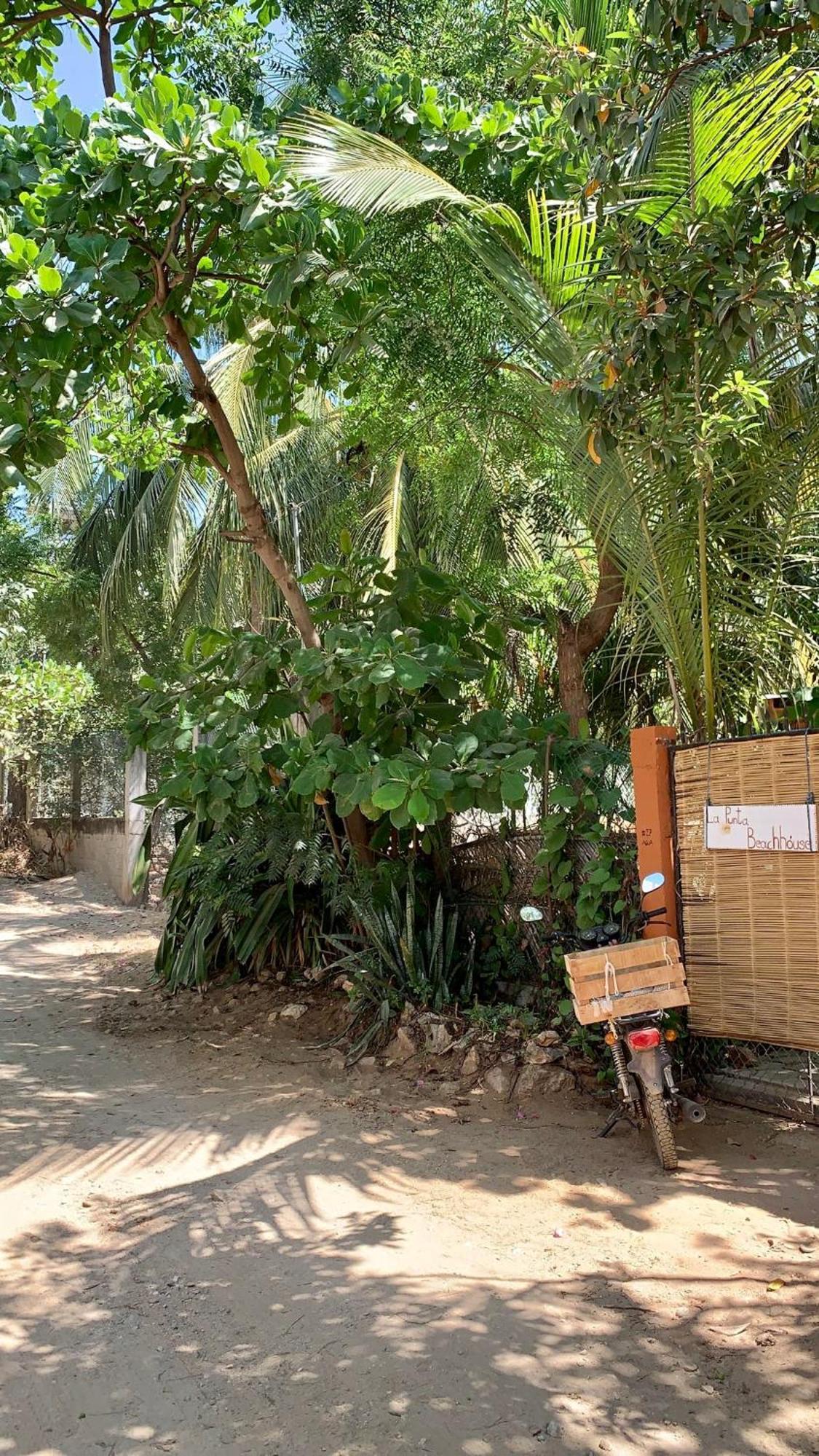 La Punta Beach House ปูแอร์โตเอสกอนดิโด ภายนอก รูปภาพ